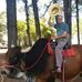 Darcy Bernardo - Facebook