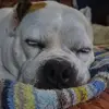 Bernard John Delaney - @bernard.john.dela8 - TikTok