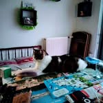 Bernard Denis - @bernard.denis.948 - Instagram
