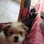 Bernard Duflos - Facebook