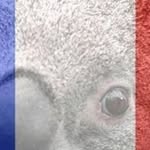 Bernard Dufour - @bernard.dufour64 - Instagram