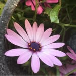 Bernard Duran - @bd_du_mas_de_tesse2 - Instagram