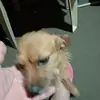 Bernard Duran - @bernardduran - TikTok