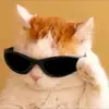 earljosephbernard - @earljosephbernard - TikTok