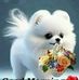 Bernard Ephraim - Facebook