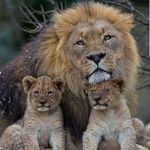 Bernard Everett - @pejae1212 - Instagram