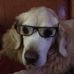 Bernard J. Fahey - Facebook