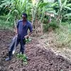farmer bernard - @farmerbernard - TikTok