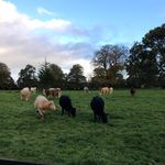 Bernard Feeney - @bernard.feeney1 - Instagram