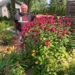 Bernard ferland - @jardins_syben - Instagram
