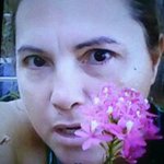 @meirebernardiferrantedebrito - Instagram