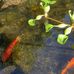 Bernard Fish - Facebook