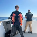 Brennan Barfield - @bernard_fishes - Instagram