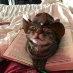 Bernard Foong - @bfyz_1229 - Instagram
