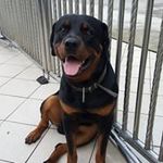 Bernard Foong - @bernard.foong - Instagram