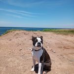 Bernard Forest - @bernardforest50 - Instagram