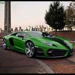 Bernard Forest - @bernardforest - Instagram