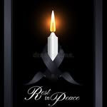 Bernard Forte - @bernardforte2 - Instagram