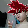 Bernardo Forte - @bernardoforte1 - TikTok