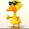 user4543904471307 - @bernardofortes07 - TikTok