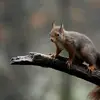 Bernard Fortune - @bernard.fortune57 - TikTok