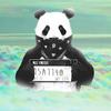 Bernard Franks337 - @bernardfranks19 - TikTok