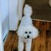 Bernard Franks - Facebook