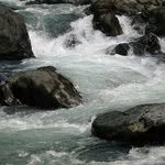 Bernard Freeman - @bernardfreeman - Instagram