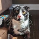 Baby Bernard & friends - @babybernardandfriends - Instagram