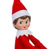 bernards friend - @bernards_friend0 - TikTok