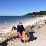 Bernard Fuchs - @bernardfuchs37 - Instagram