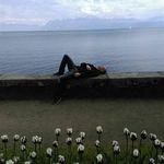 Bernard Fuchs - @bernythefux - Instagram
