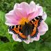 Bernard Gaffney - Facebook