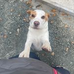 Bernard Gaffney - @gaf12345678 - Instagram