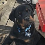 Ronald Bernard Gallant - @bernard_gallant2000 - Instagram