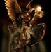 Bernard Galvez - Facebook