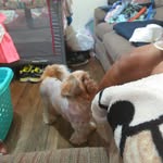 @bernardgalvezjr - Instagram