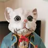 bernard pergant - @bernardpergant - TikTok