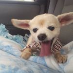 bernard gardner - @joilyn30 - Instagram