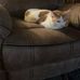 Bernard Gentry - Facebook