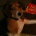 Bernard Gerstner - Facebook