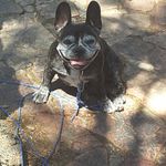Bernard gilbert - @bb56.marbella - Instagram