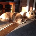 Bernard Gilbert - @bernardgilbert6421 - Instagram