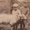 Bernard Gillet - @bernard.gillet5 - TikTok