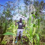 Bernard Gitonga - @bernardgitonga92 - Instagram