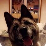 Bernard Glover - Facebook