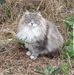 Bernard Legoff - Facebook