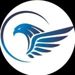Bernard Goldsmith - @uaefalconryfinance - Instagram