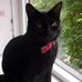 Patrick Bernard Goldsmith - Facebook