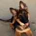 Bernard Goodman - Facebook